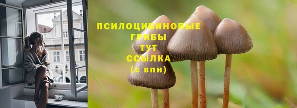 бутират Алзамай
