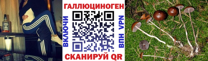 Галлюциногенные грибы Magic Shrooms  закладки  Барнаул 