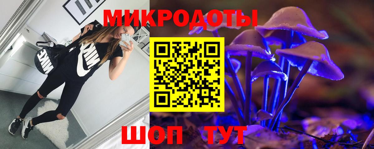 Псилоцибиновые грибы Cubensis Барнаул